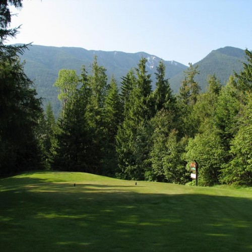 3639713571_802fd3c033_b