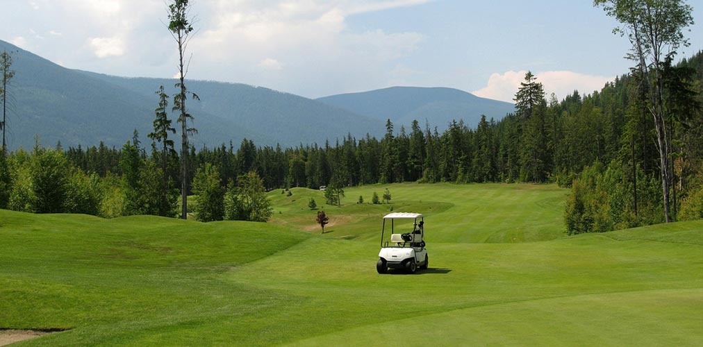 3639718541_7a9741d225_b